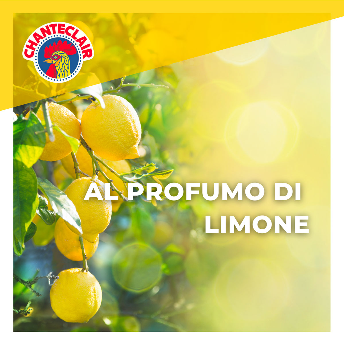 Sgrassatore-limone_3